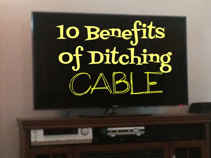 Streaming Stick Supremacy: Why Everyone's Cutting the Cord