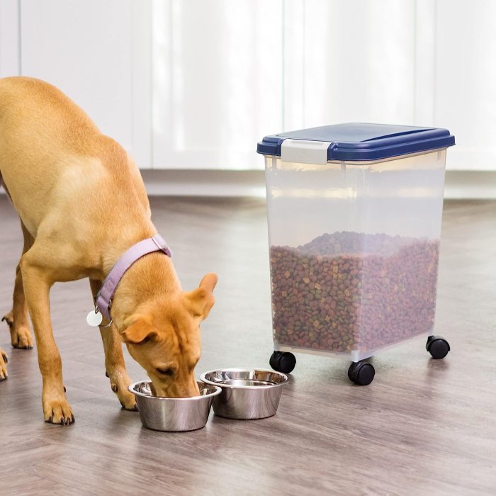 12 Best Bulk Food Storage Containers For 2024 | Storables Food Storage Containers: Keeping Global Kitchens Organized