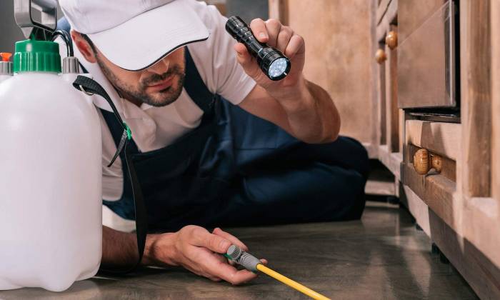 Pest Solutions in Idaho Falls: Your Complete Guide to Tackling Unwanted ... Pest Control Products: Keeping Unwanted Guests Out, Worldwide