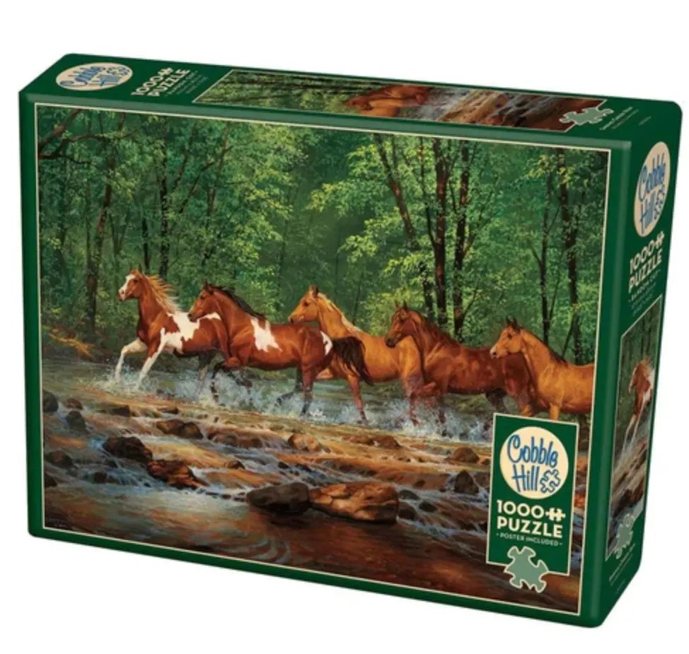 Action Figures & Collectibles: Playtime That Transcends Age