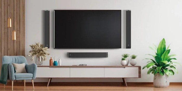 Smart TVs: The Centerpiece of Modern Global Homes