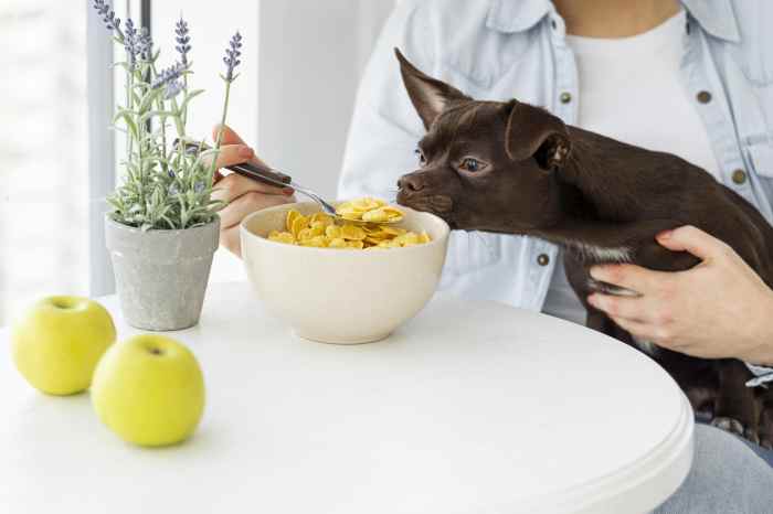 Nourishing Companions: A Comprehensive Guide to Pet Health and ... Pet Food: Nourishing Companions in Every Household