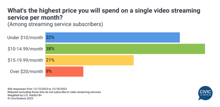 Streaming Service Subscriptions: The New Global Entertainment Standard